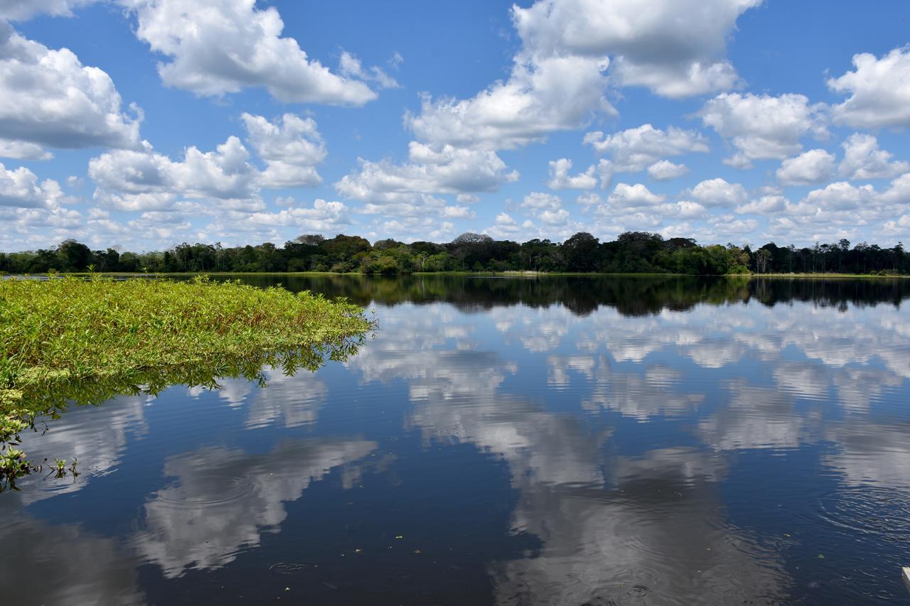 Yaku Amazon Lodge & Expeditions Paraíso المظهر الخارجي الصورة